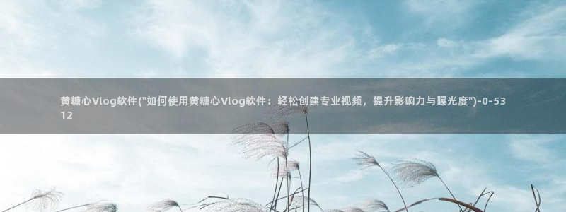 糖心vlog网址大全