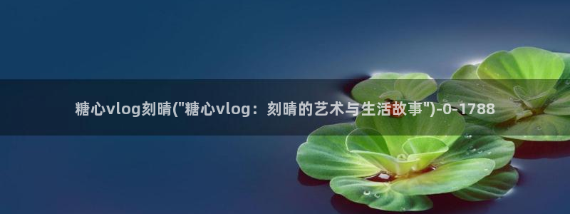 糖心Vlog优质up主