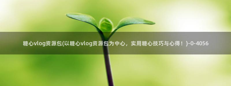 糖心vlog进不去了