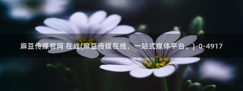 麻豆视频 资源更新：麻豆传媒官网 在线(麻豆传媒在线，一