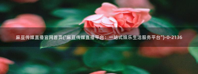 麻豆视频完整版：麻豆传媒直播官网首页(\