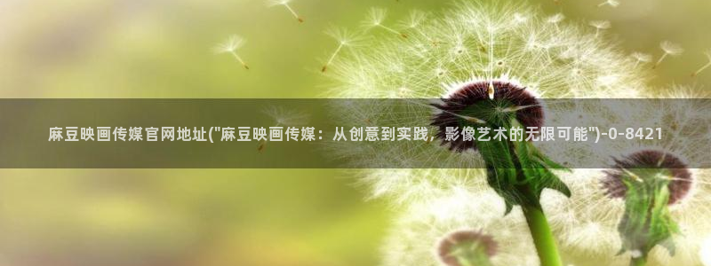 麻豆视频系列最新：麻豆映画传媒官网地址(\