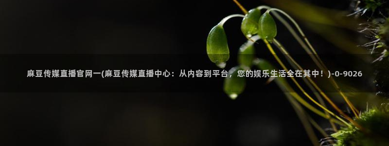 麻豆 更新导航：麻豆传媒直播官网一(麻豆传媒直播中心：从
