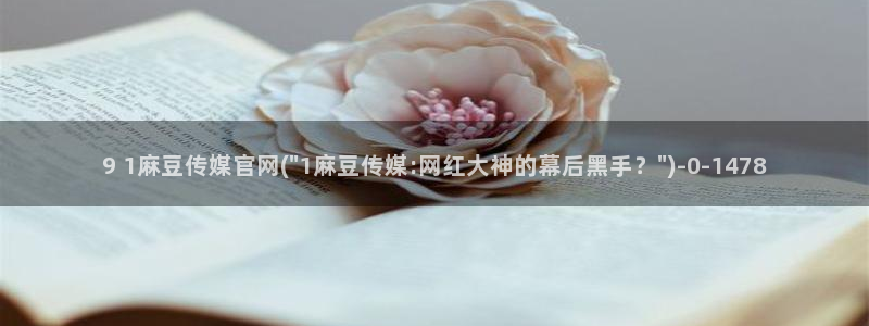 麻豆视频 在线看：9 1麻豆传媒官网(\