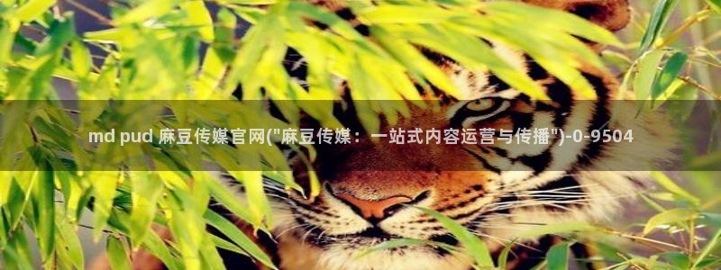 麻豆视频合集下载：md pud 麻豆传媒官网(\