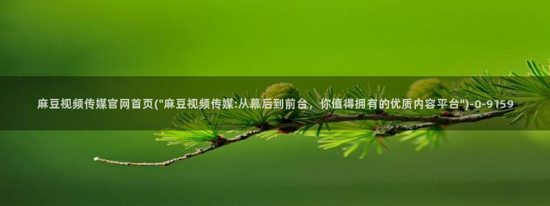 麻豆视频 更新最新：麻豆视频传媒官网首页(\