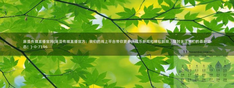 麻豆视频站资源：麻豆传媒直播官网(麻豆传媒直播官方：我们