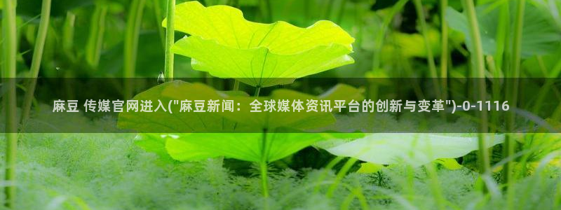 麻豆合集页面：麻豆 传媒官网进入(\