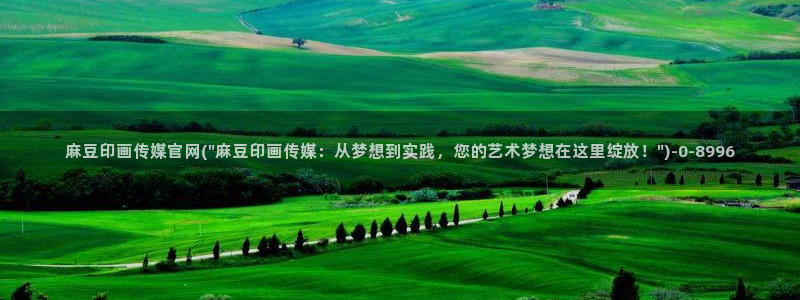 麻豆视频 精选更新：麻豆印画传媒官网(\