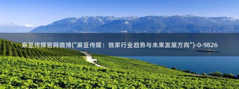 麻豆更新合集：麻豆传媒官网微博(\