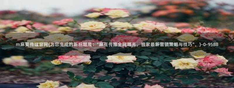 麻豆视频 短片视频：m麻豆传媒官网(为您生成的新标题