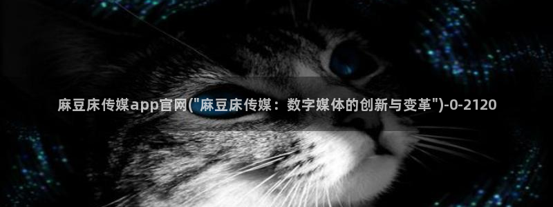 麻豆视频站入口：麻豆床传媒app官网(\