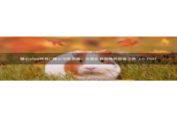 vlog糖心视频：糖心vlog晚晚(\