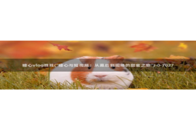 vlog糖心视频：糖心vlog晚晚(\