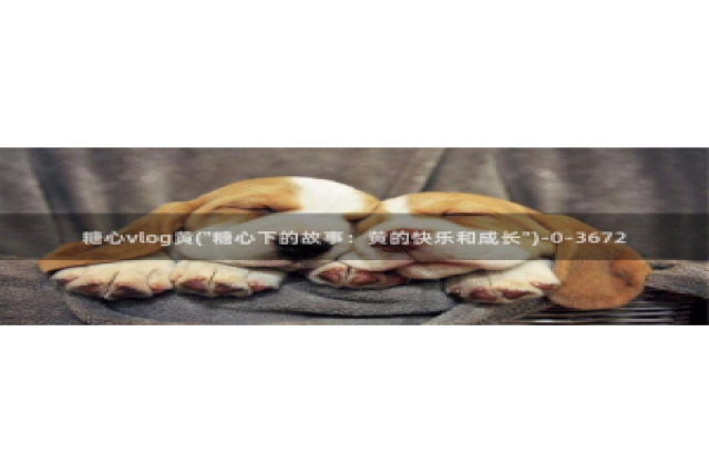 糖心vlog小橘在线：糖心vlog黄(\