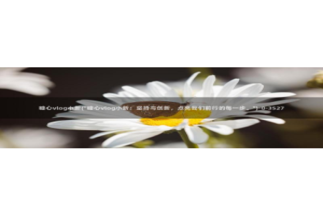 糖心vlog18款：糖心vlog小新(\