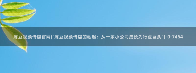 麻豆视频资源整理：麻豆视频传媒官网(\