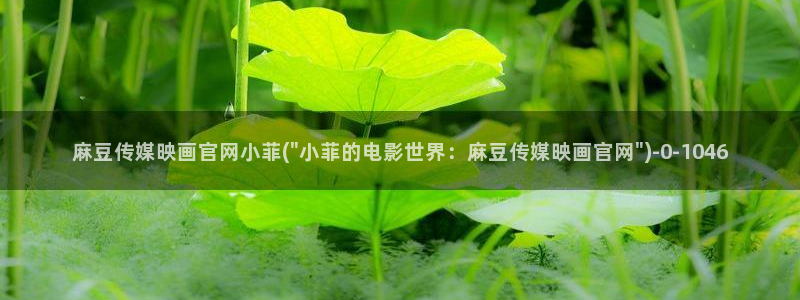 麻豆视频 专区入口：麻豆传媒映画官网小菲(\