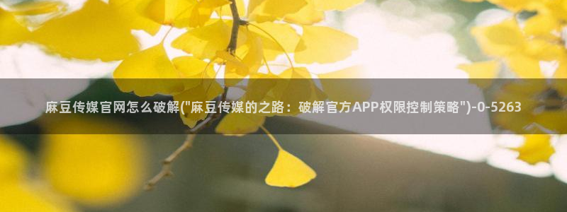 麻豆视频 精选入口