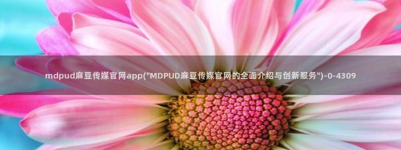 麻豆视频更新下载